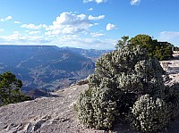 grand canyon (25).JPG